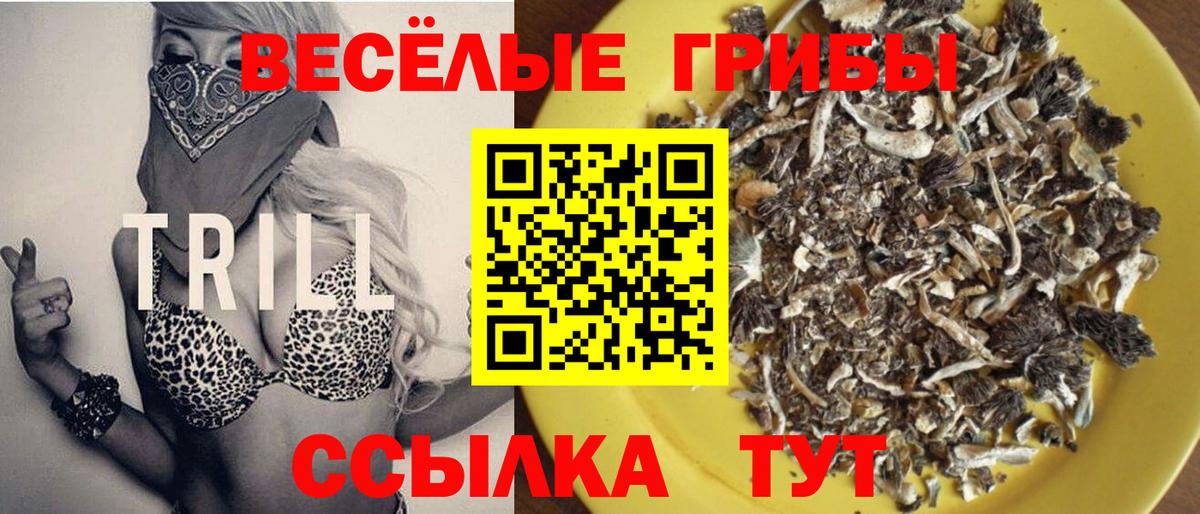 Галлюциногенные грибы Psilocybe  Вход с VPN  Новошахтинск 